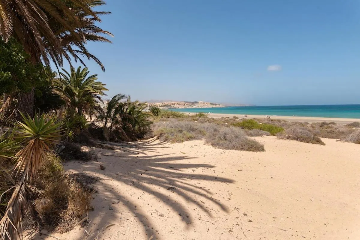 Apartmán Playa Jaqueta Costa Calma